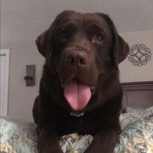 Meet your Posher, Irma